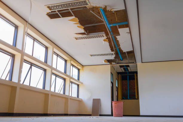 Best 24-hour water damage restoration  in Del Aire, CA