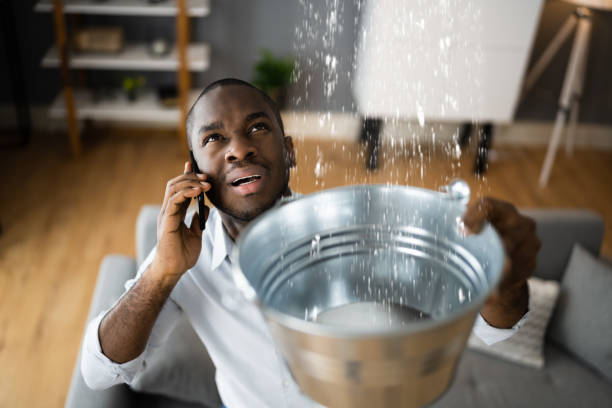 Best Flood damage cleanup  in Del Aire, CA