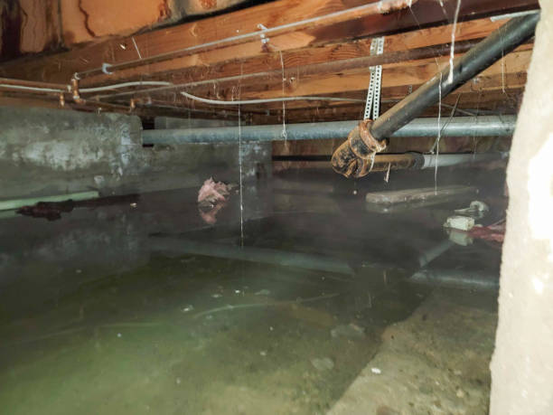 Best Water damage restoration specialists  in Del Aire, CA