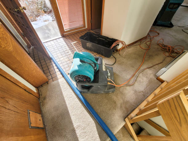 Trusted Del Aire, CA Water damage restoration Experts