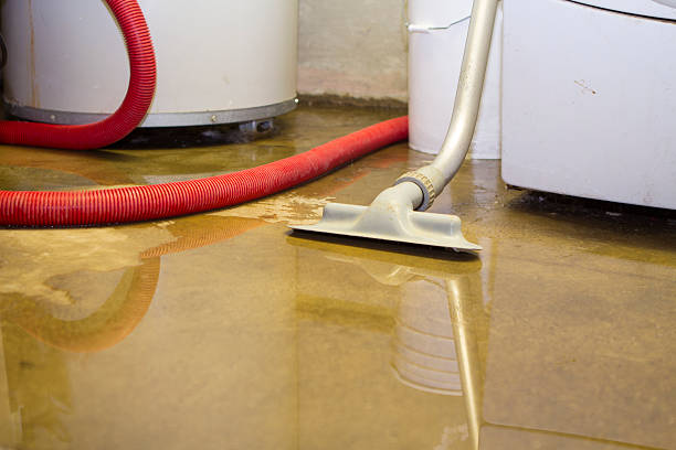 Best Flooded house restoration  in Del Aire, CA