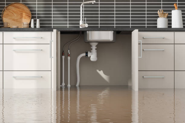 Best 24/7 water damage repair  in Del Aire, CA