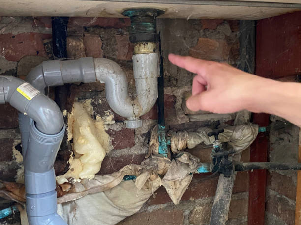 Best Residential water damage restoration  in Del Aire, CA