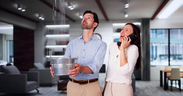 Best 24-hour water damage restoration  in Del Aire, CA